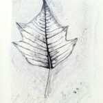 Ellen van Koppen, blad