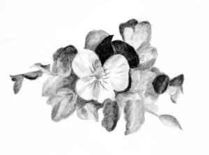 Tekening van leerling Atelier July Leesberg